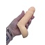 Calexotics Packer Gear Standard STP