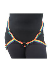 Rainbow Inclusion Harness