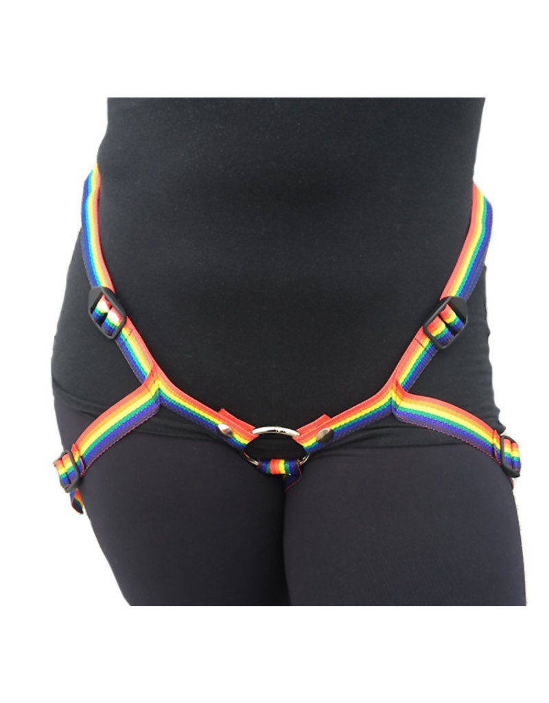 Rainbow Inclusion Harness