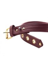 Burgundy and Gold Lockable Collar