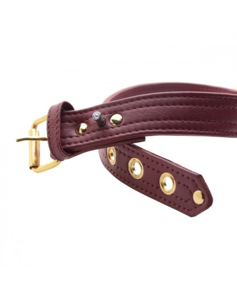 Burgundy and Gold Lockable Collar