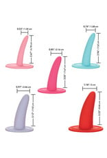 Calexotics She-Ology 5-Piece Wearable Vaginal Dilator Set