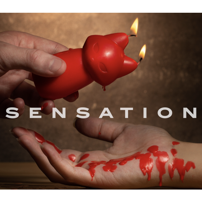 Blush Fox Drip Candle