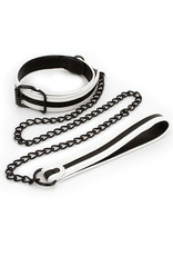 Glo Collar and Leash