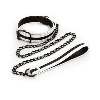 Glo Collar and Leash