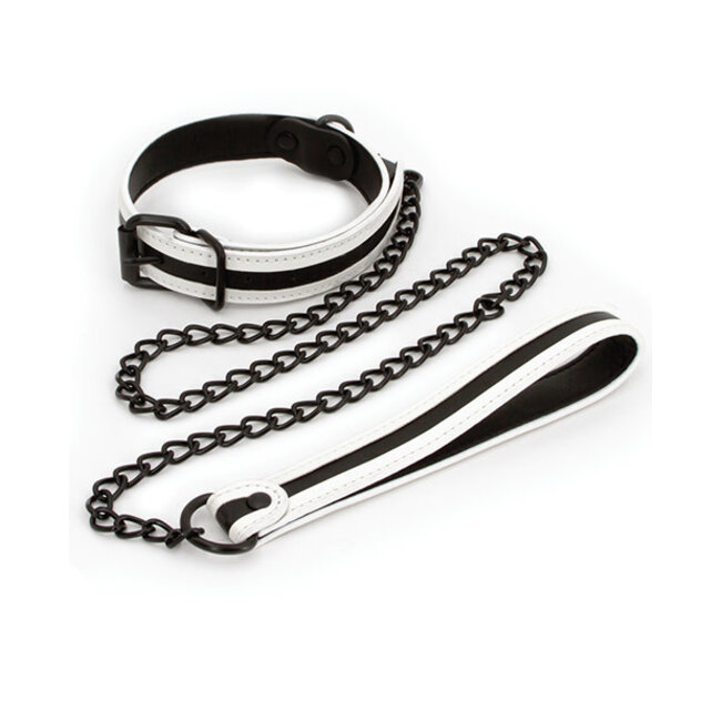 Glo Collar and Leash