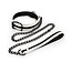 Glo Collar and Leash