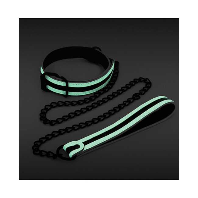 Glo Collar and Leash