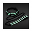 Glo Collar and Leash