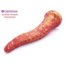 Uberrime The Teuthida Tentacle Dildo
