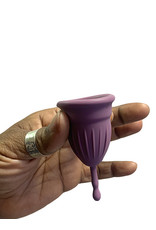 Cloud 9 Menstrual Cup Set