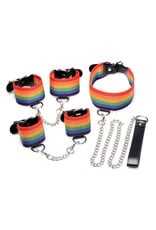 Kinky Pride Rainbow Bondage Set