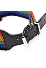 Kinky Pride Rainbow Bondage Set