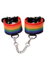 Kinky Pride Rainbow Bondage Set