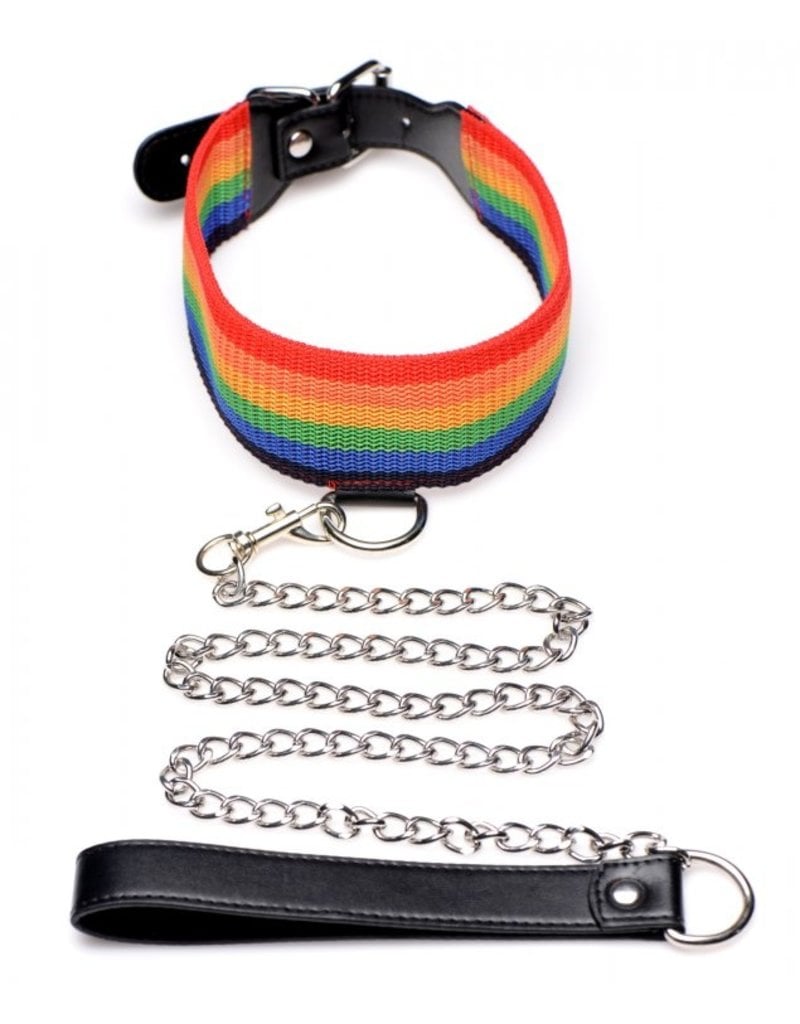 Kinky Pride Rainbow Bondage Set