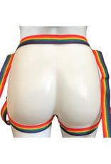 Rainbow Inclusion Harness