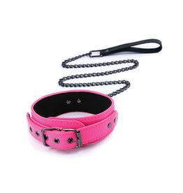 Electra Collar and Leash