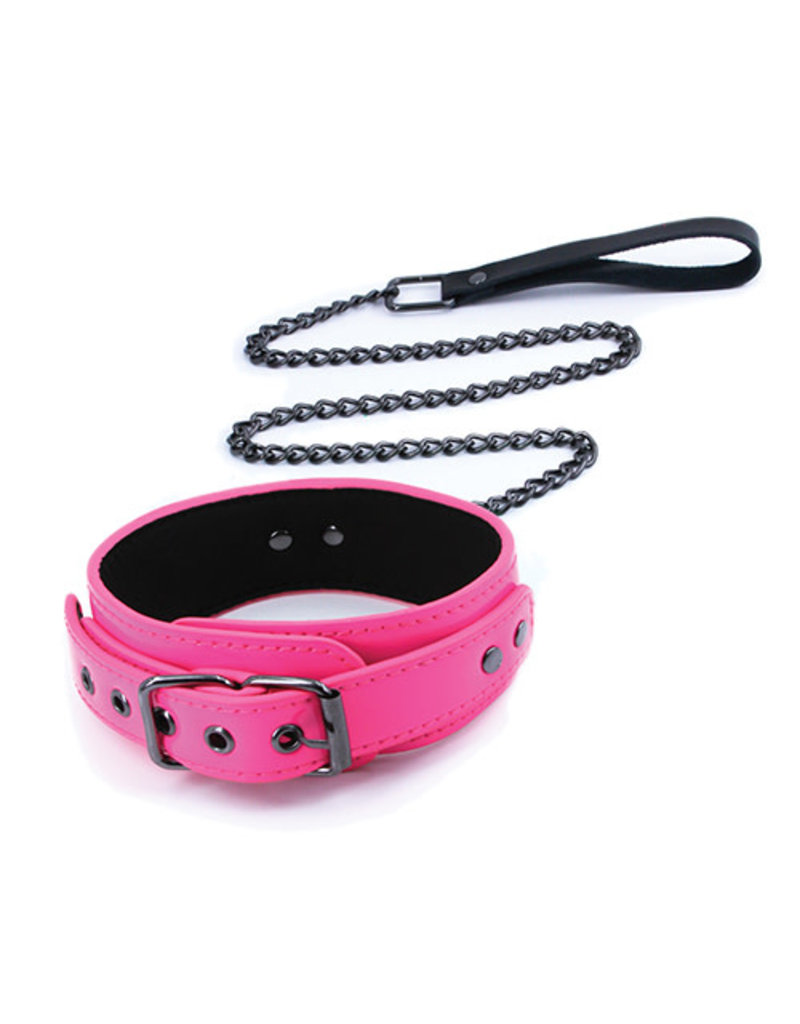 Electra Collar and Leash