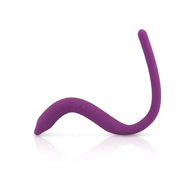 Intimate Rose Intimate Rose Pelvic Wand