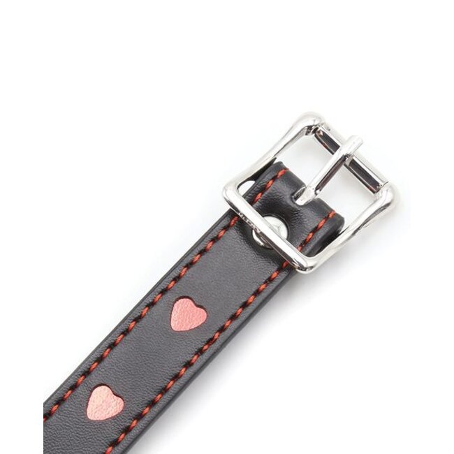 Plesur Heart Ball Gag