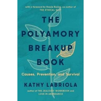 Polyamory Breakup Book: Causes, Prevention, and Survival