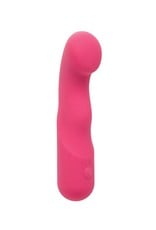 Calexotics Pixies Vibrators