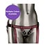 Calexotics The Regal Harness