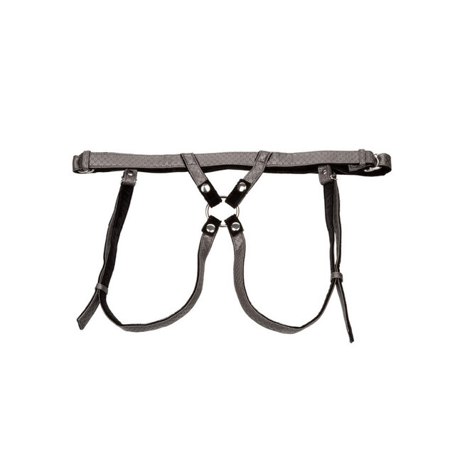 Calexotics The Regal Harness