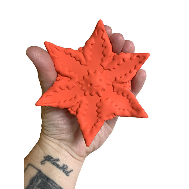 Cute Little Fuckers Starsi Vibrator