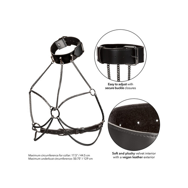 Calexotics Euphoria Multi Chain Collar Harness