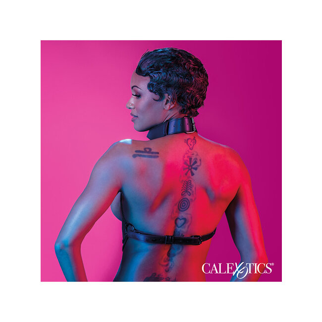 Calexotics Euphoria Multi Chain Collar Harness