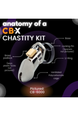 CB-6000 Male Chastity Device