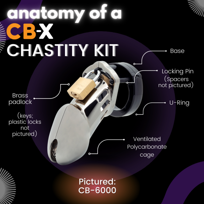 CB-6000 Male Chastity Device