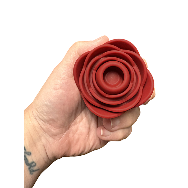 Tracy's Dog Tracy's Dog Rose