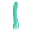 Evolved Novelties Come with Me Vibrator