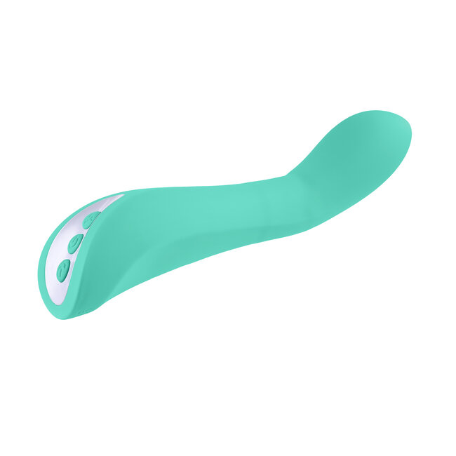 Evolved Novelties Come with Me Vibrator