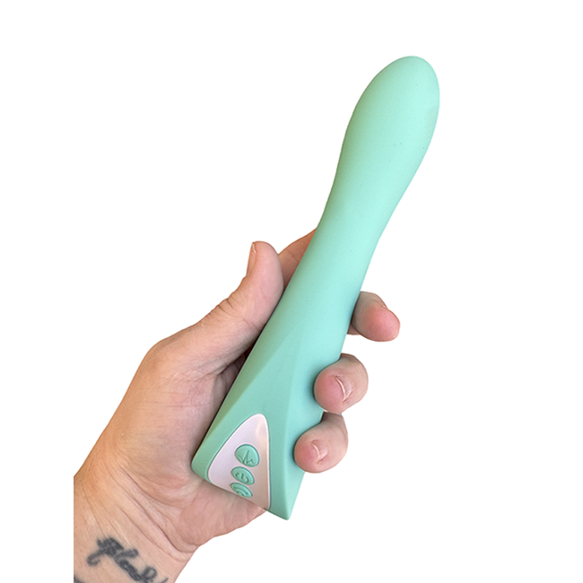 Evolved Novelties Come with Me Vibrator