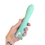 Evolved Novelties Come with Me Vibrator