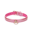 Liebe Seele Lustre Rose Leather Collar with Leash