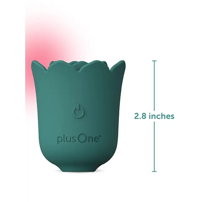 plusOne plusOne Succulent