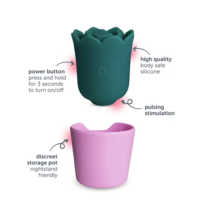 plusOne plusOne Succulent