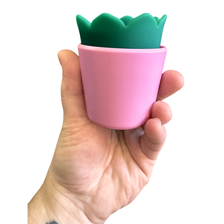 plusOne plusOne Succulent plusOne plusOne Succulent