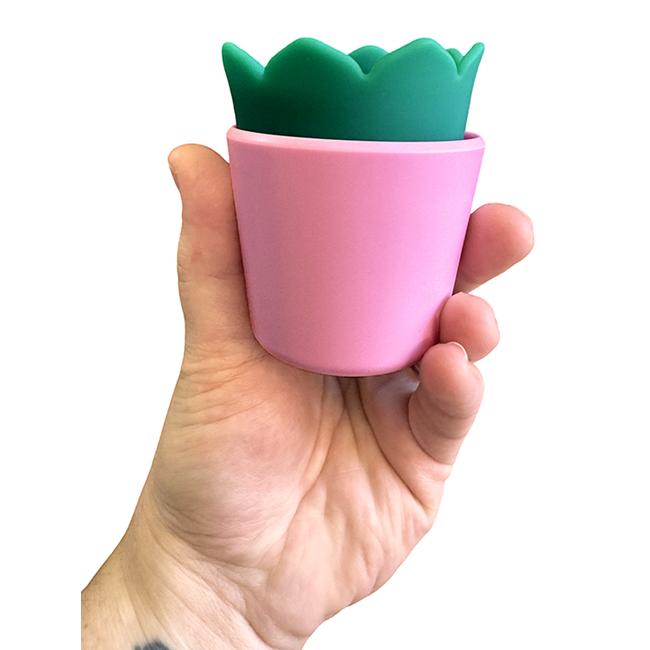 plusOne plusOne Succulent