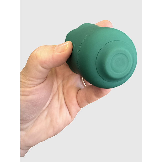 plusOne plusOne Succulent