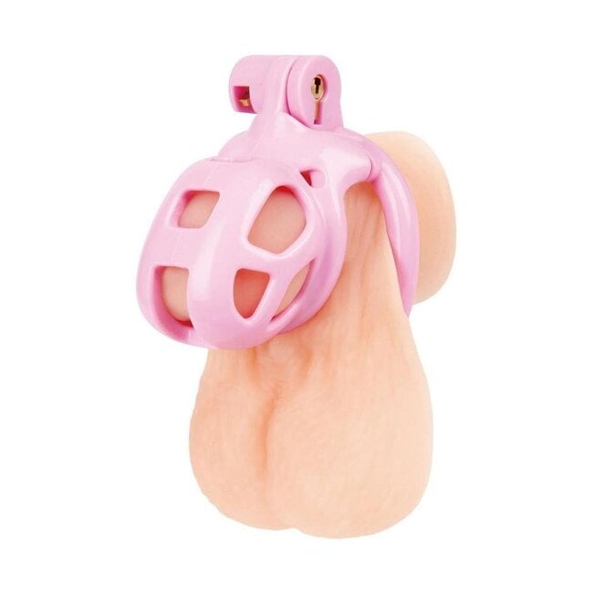 Electric Novelties Small Pink Chastity Cage