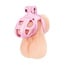 Electric Novelties Small Pink Chastity Cage