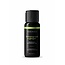 Wicked Wicked Sensual Massage Oil 4oz