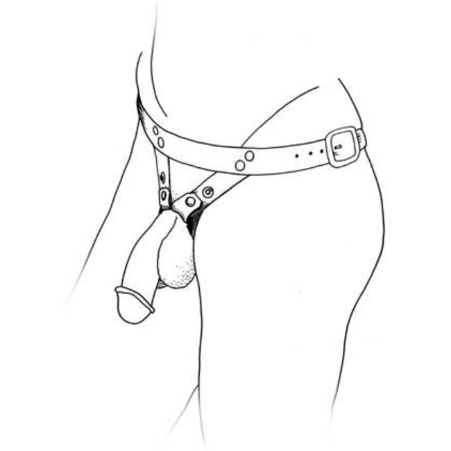 Aslan Commando Leather Harness