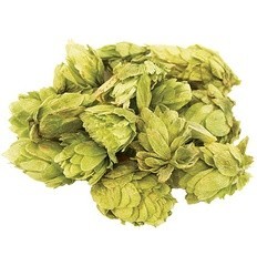 mosaic hops mosaic hops