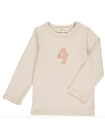 TINY VICTORIES Birthday Party Four Tee